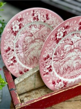 Pair Jonroth Old English Staffordshire Luray Caverns VA 9 inch Dinner Plates